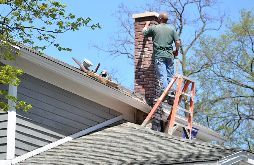 Chimney & Fireplace Inspections Services in Kingston, NY